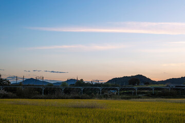 a view of the railroad tracks and rice fields