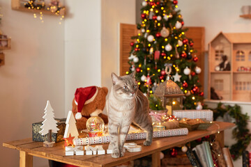 Winter holidays and vacations. Christmas and New Year decor background. Christmas tree and toys. Christmas cat. Holiday apartment interior.
