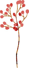 Watercolor autumn berry illustration