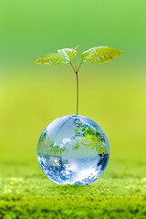 3D illustration Renewable energy concept Earth Day or environmental protection Protect the forests...