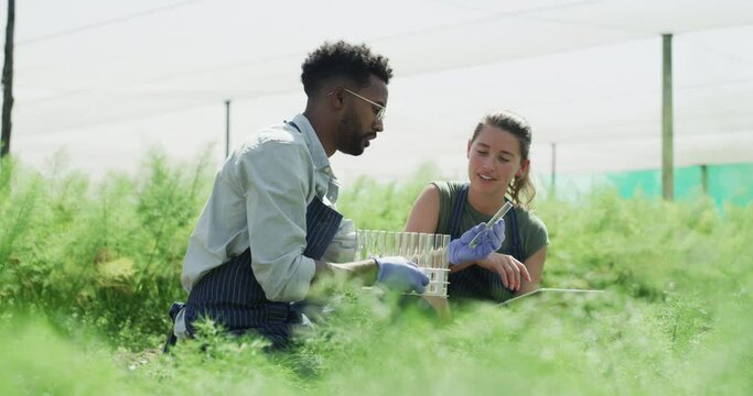 Agriculture scientist, test tube and analytics for plants development, sustainability and growth in greenhouse. Science research, plant and teamwork with botany expert on ecology farm or study sample