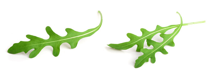Green fresh rucola or arugula leaf isolated on white background macro