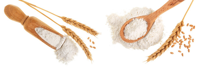 ears of wheat and pile of flour in wooden scoop isolated on white background. Top view. Flat lay