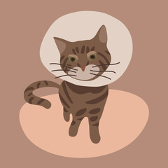 Vector isolated illustration of a sick cat.