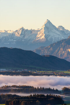 Low clouds over forest landscape with Mt Watzmann at dawn, Salzburg, Austria