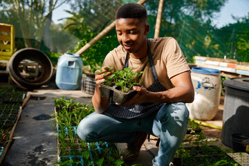 Happy young black man wearing apron and examining the plants at garden center
