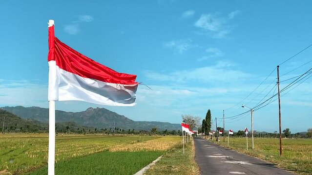 Pan shot of indonesia wavin flag with rice paddy and mountain in the background