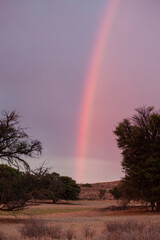 Kalahari Sunrise in the Kgalagadi Transfrontier Park, South Africa