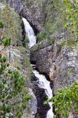 The Nature of Muddus National Park