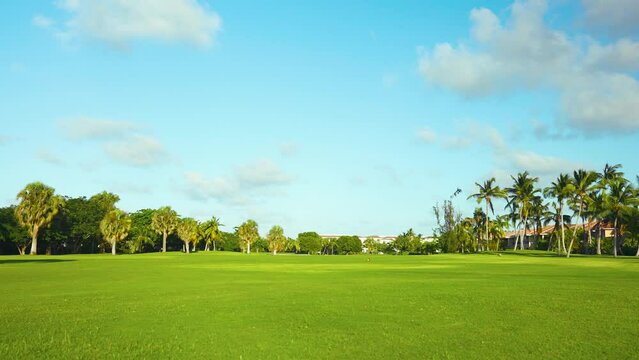 Landscape of a green grassy golf course. Lawn with short cut grass. Tropical natural park with palm trees and blue cloudy sky background. Training golf course. Playground for sports.