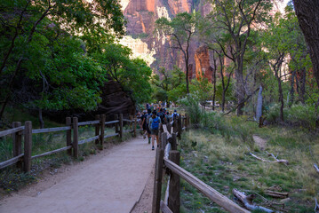 Path in Zion canyon, Utah, USA.