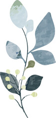 Watercolor leaf branch illustration
