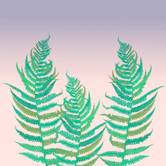 Zielone liście paproć motyw roślinny na jasnym tle.	
 - obrazy, fototapety, plakaty