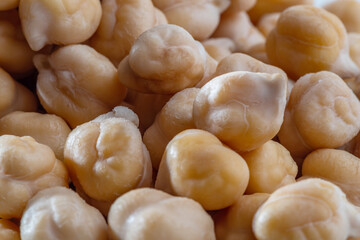 Chickpea or chick pea Cicer arietinum annual legume for cooking hummus. Garbanzo beans seeds for nutrient-dense healthy vegetarian food
