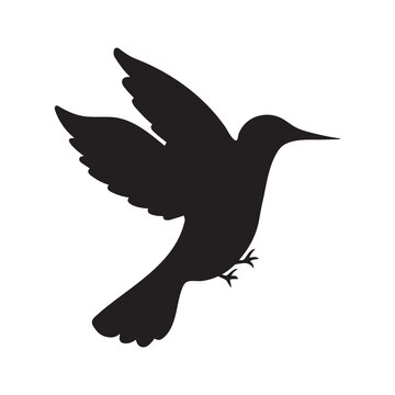 Hummingbird vector icon silhouette isolated on plain white background. Flying animal with black colored simple flat drawing art. 