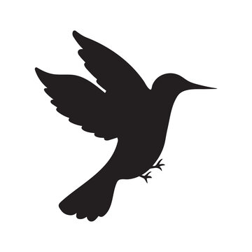 recommend clip art: Hummingbird vector icon silhouette isolated on plain white background. Flying animal with black colored simple flat drawing art. 