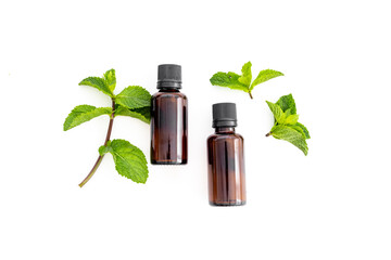 Mint leaves with aroma essential peppermint oil