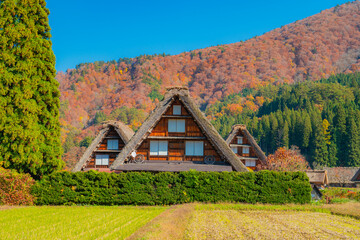 阜県白川村　秋の白川郷の風景 © k