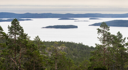 the Nature of Skuleskogen National Park