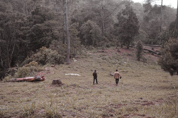 two men woodcutter walking in the forest