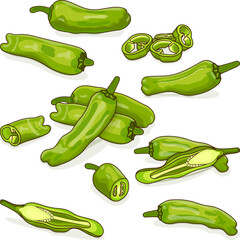 Set with whole, half, quarter, slices, and wedges of Shishito green pepper. Capsicum annuum. Chili pepper. Fresh organic vegetables. Cartoon style. Vector illustration isolated on white background.