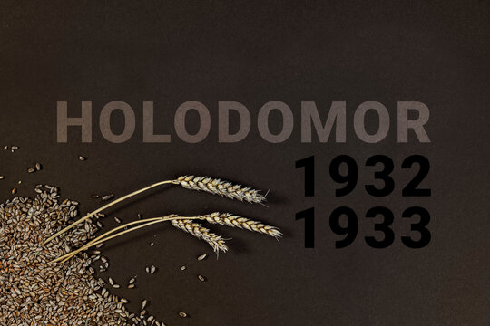 Grain and three spikelets on a black background. Symbol of the tragedy genocide of the Ukrainian people in 1932