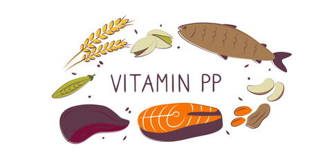 Vitamin B3 Niacinamide Vitamin PP niacin Nicotinamide. Groups of healthy products containing vitamins. Set of fruits, vegetables, meats, fish and dairy