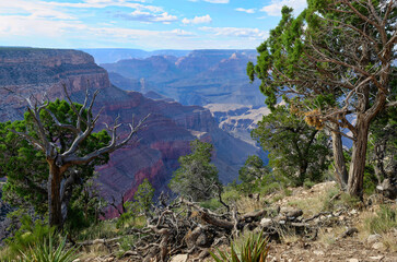 The Grand Canyon at sunset
