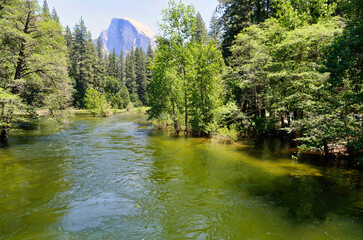 Yosemite national park in summer