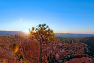 Bryce Canyon, the blue hours