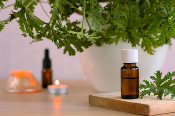 Essential oil in a brown bottle accompanied by Citronella Geranium (Scent Geranium, Pelargonium) plant in a white pot. Copy space.