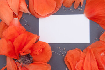 Red poppies with empty white business card template