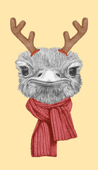 Portrait of Ostrich with Christmas Antlers. Hand-drawn illustration.