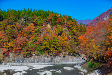 阜県白川村　秋の白川郷の風景