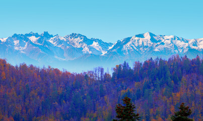 Panoramic view of snowy  mountains and colorful forest