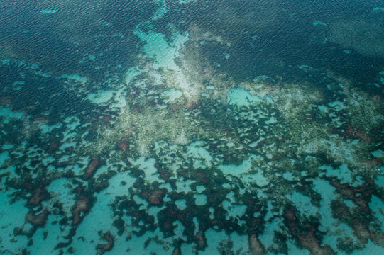 Aerial View over Coral Reef On Seychelles
