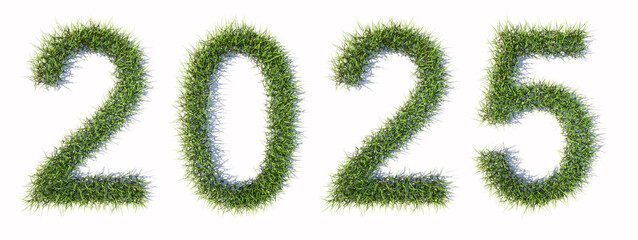 Concept conceptual green summer lawn grass formingg the 2025 text isolated  on white background. 3d illustration metaphor for environment,  conservation, protection,  life quallity, future generations