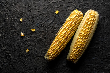 Dos mazorcas de maíz  (Zea mays) sobre fondo de piedra oscura