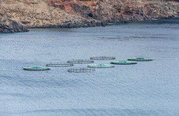 fish farm at cove on Atlantic ocean, Baia d Abra, Madeira