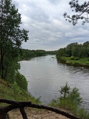 tree root against the backdrop of a wide river in summer