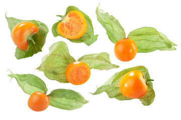 Cape gooseberry or Physalis, an edible fruit of Physalis peruviana, isolated png