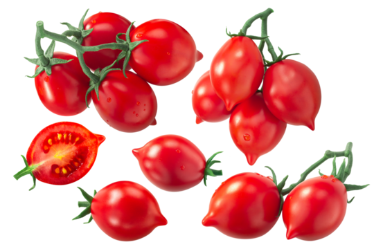 Piennolo del Vesuvio cherry tomatoes on the vine and singles, an Italian heirlooms isolated png