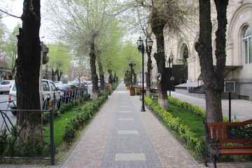 Various and wonderful pictures of animals, landscapes and cities in Armenia