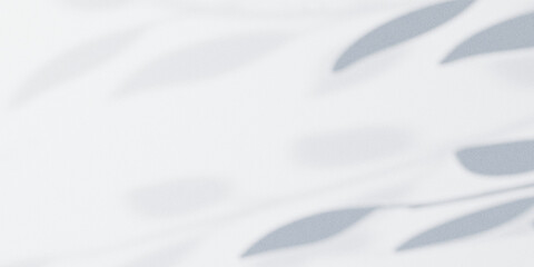 white silk fabric background background shadow tree background 3d render illustration gray plant abstract wallpaper concep