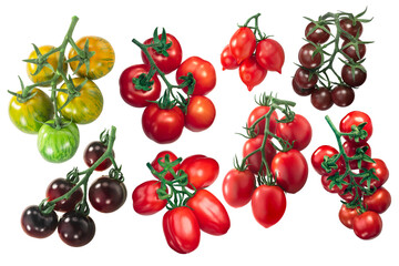 Different heirloom tomatoes in cluster on the vine (Solanum lycopersicum fruits) isolated png