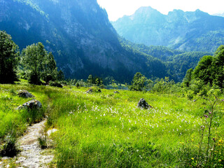 Landschaft in Bayern,Berchtesgardener Land,