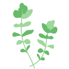 春の七草のひとつ、ナズナ