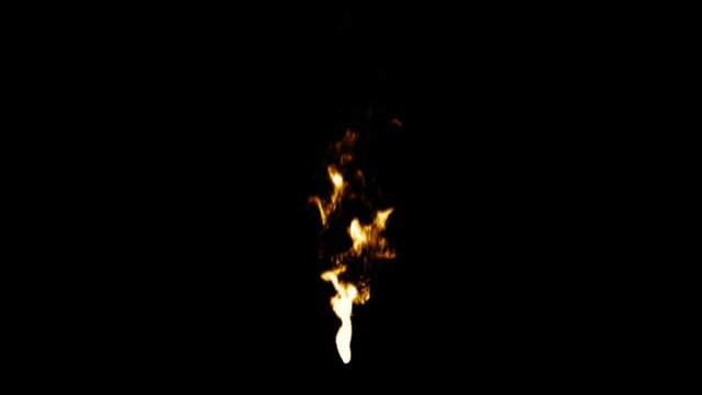 Realistic 3d fire effect on a black background, close-up.