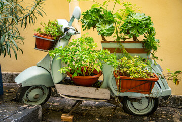 Classic Vespa scooter parking near a tree and with a basket of Flowers, Naples, Italy