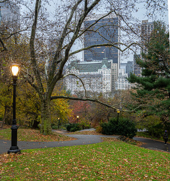 Autumn in Central Park raining morning